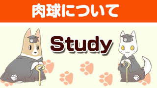 【Study】肉球について