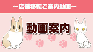 肉球雑貨ホワイトアンドピーチ「店舗移転動画案内」
