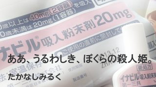 ああ、うるわしき、ぼくらの殺人姫。　　たかなしみるく