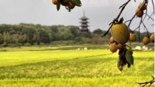 ＊六＊「無職の父と、田舎の未来について。」の中の人が３月２日にトークセッション