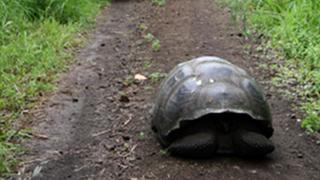 【馬】1%の「すごい人（ガンダム）」は日本に何人いるか。