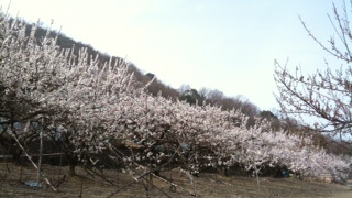 ＊六＊まとめて紹介／サッカーで発電、他