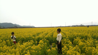 ［未来脳］イメージトレーニングで未来に備える（その４）