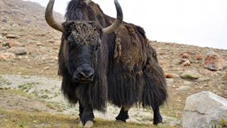 未来に立ち向かうために一番大切で今すぐできるたった一つのこと（前編）