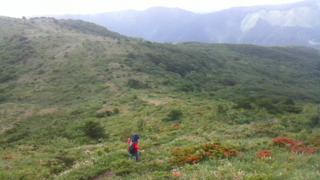 地方都市の魅力に迫ろう／今度はお手軽登山に挑戦