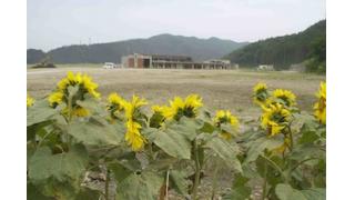 【東日本大震災】もしこれが人間の骨だったら....と、毎日のように遺体を探している