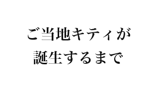 ご当地キティヒストリー