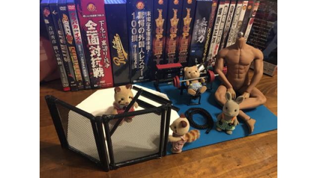 卑猥な人形!?　「鍛える女子」の誤解されかねない趣味■二階堂綾乃