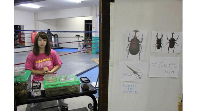 【非会員でも購入可】 バックナンバーはコチラです！【500本以上】