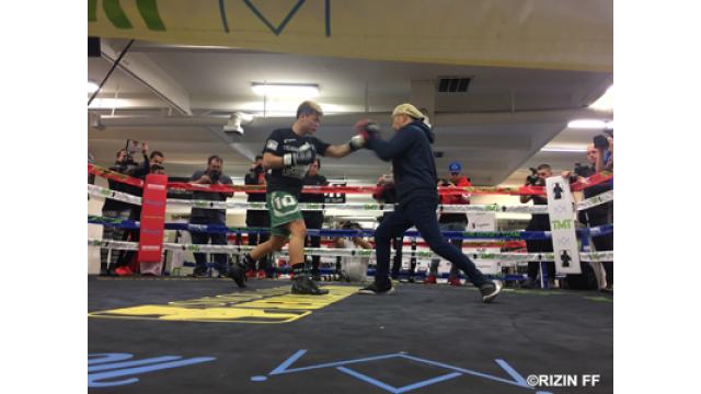 「メイウェザーにパンチは当たらないでしょう……でも那須川天心に夢を見たい！」■鈴木秀明