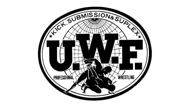 プロレス格闘技界運命の1991年■斎藤文彦INTERVIEWS