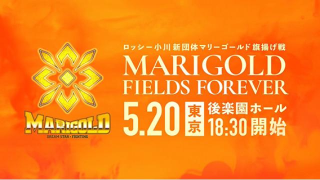 【燃えるマリーゴールド】ロッシー小川が悪いのか■事情通Zの「プロレス 点と線」