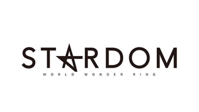 スターダムvsマリーゴールド企業戦争／Sareeeの闘魂継承路線／デスマッチ受難時代