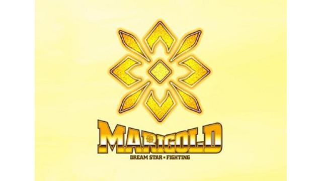 マリーゴールドのレフェリーはなぜ止めなかったのか