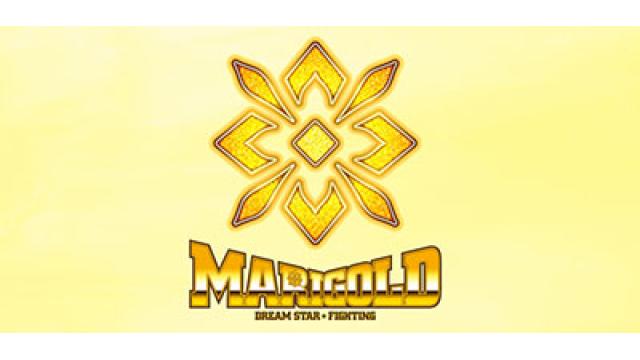 【林下詩美退団】マリーゴールドの非常ベルはなぜ鳴ってしまったのか？