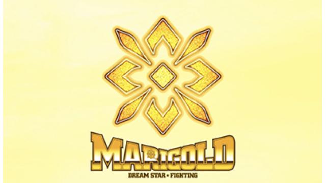 マリーゴールド両国ガラガラ……されど復活の兆し？　ロッシー小川コメントを超訳する■事情通Z