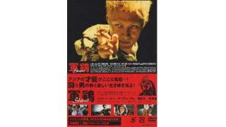 人気格闘技漫画の実写化！『軍鶏 SHAMO』■高橋ターヤンのバトル映画地獄変⑨