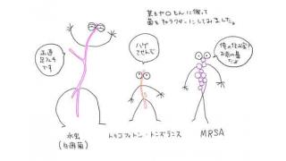 格闘技と感染症■二階堂綾乃のオールラウンダーAYANO