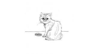 格闘技と猫■二階堂綾乃のオールラウンダーAYANO