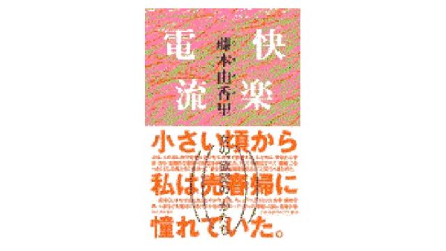 快楽電流（その２）（再）