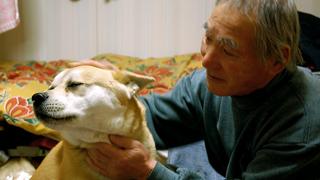［東日本大震災アーカイブス］村上和巳・連載コラムvol.3「奇跡の愛犬『ジロ』とともに」