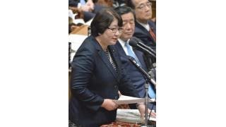 公的年金削減やめよ／高橋議員 「マクロ」で大幅目減り／衆院予算委