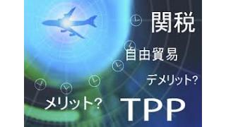 日本のTPP参加でAVからモザイクが消えるってホント!?の疑問に識者を直撃!!