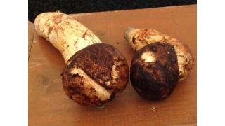 Vol.104　飯舘村の秋の香り