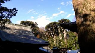 初詣レポート 氷川大社(埼玉県さいたま市)