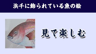 【見て楽しむ】浜千に飾られている魚の絵