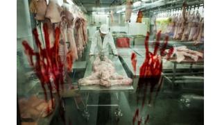 【閲覧注意】『バイオハザード6』発売に便乗して作った人肉市場がリアル過ぎてヤバい