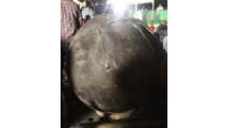 【画像ｱﾘ】ギネス認定世界最大「正四尺玉花火」の開花具合を見せちゃうよ～!!