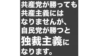 選挙で投票する基準は・護憲 ・徹底的な格差是正政策 ・対米自立の全てを掲げる政党・個人に