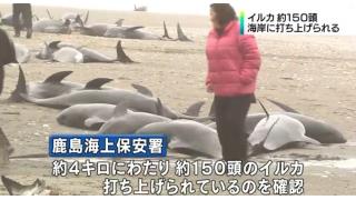 Twitter4月9～11日　自作自演である911や311を予言したと称する人間が、4月12日に大地震を予言との怪情報