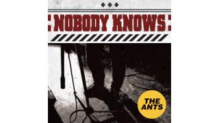 THE ANTS "Nobody Knows" 発売