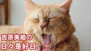 【哀悼】麻原二審の弁護人だった松下明夫弁護士のご冥福を心よりお祈り申し上げます