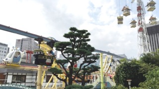 11/26 花やしきで遊ぼうイベント 募集開始のお知らせ