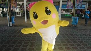 平塚競輪3日間終了～の松戸記念へ