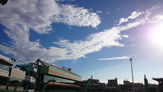 しっかり立って一歩一歩前に向かって今を生よう