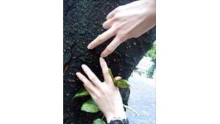 ふぇちっと NO.1７