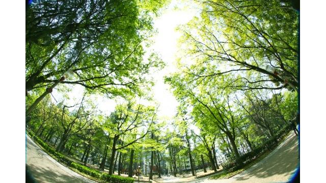 証券業界の変化に学ぶ、日本のリテール金融業界の未来その３