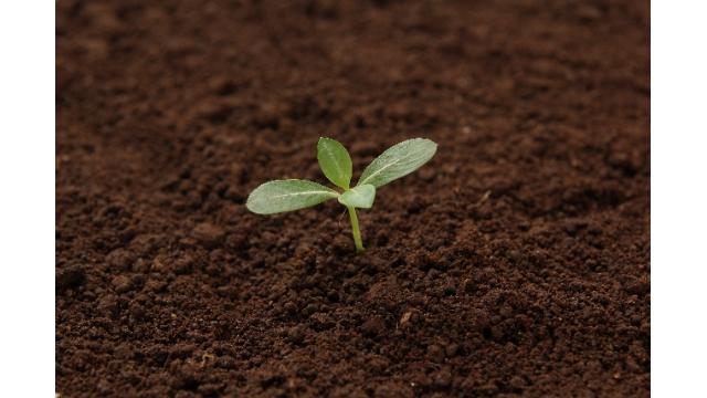 ＩＰＯ銘柄に見出した成長株