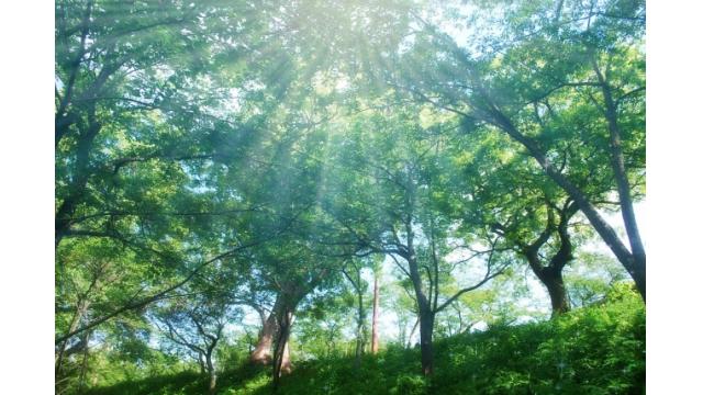 ４月は桜散る季節　青葉が茂る５月相場に期待