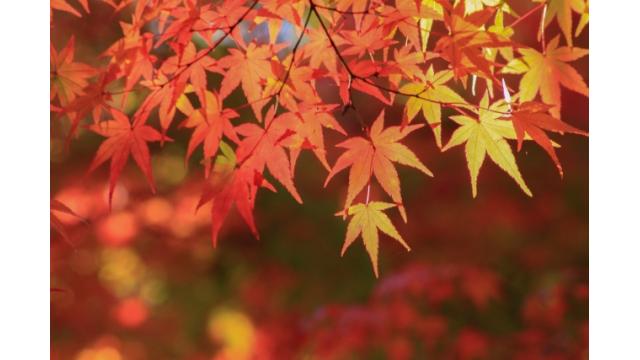 気になること色々