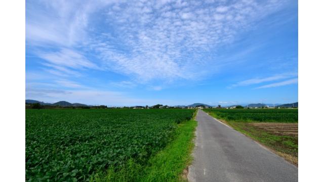 若い甥に教えたい資産形成のための方法論や考え方