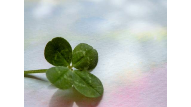 運が実力のすべて