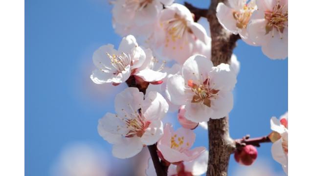 復活？！オールドエコノミー銘柄