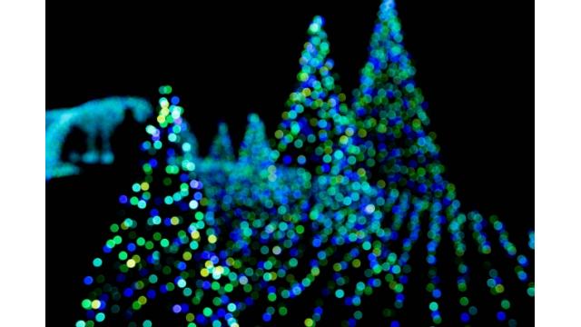 取り残された銘柄群