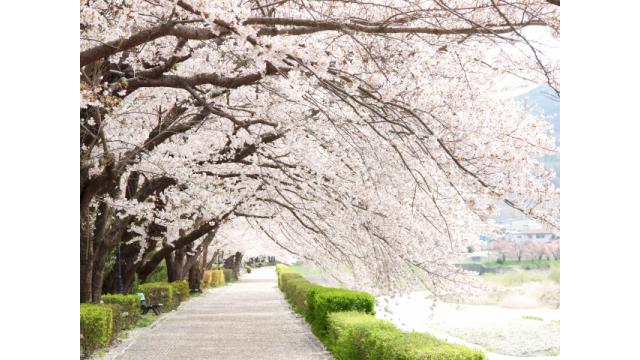 戻り相場が一巡する中で