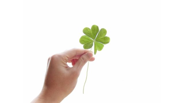 今こそ楽観論を